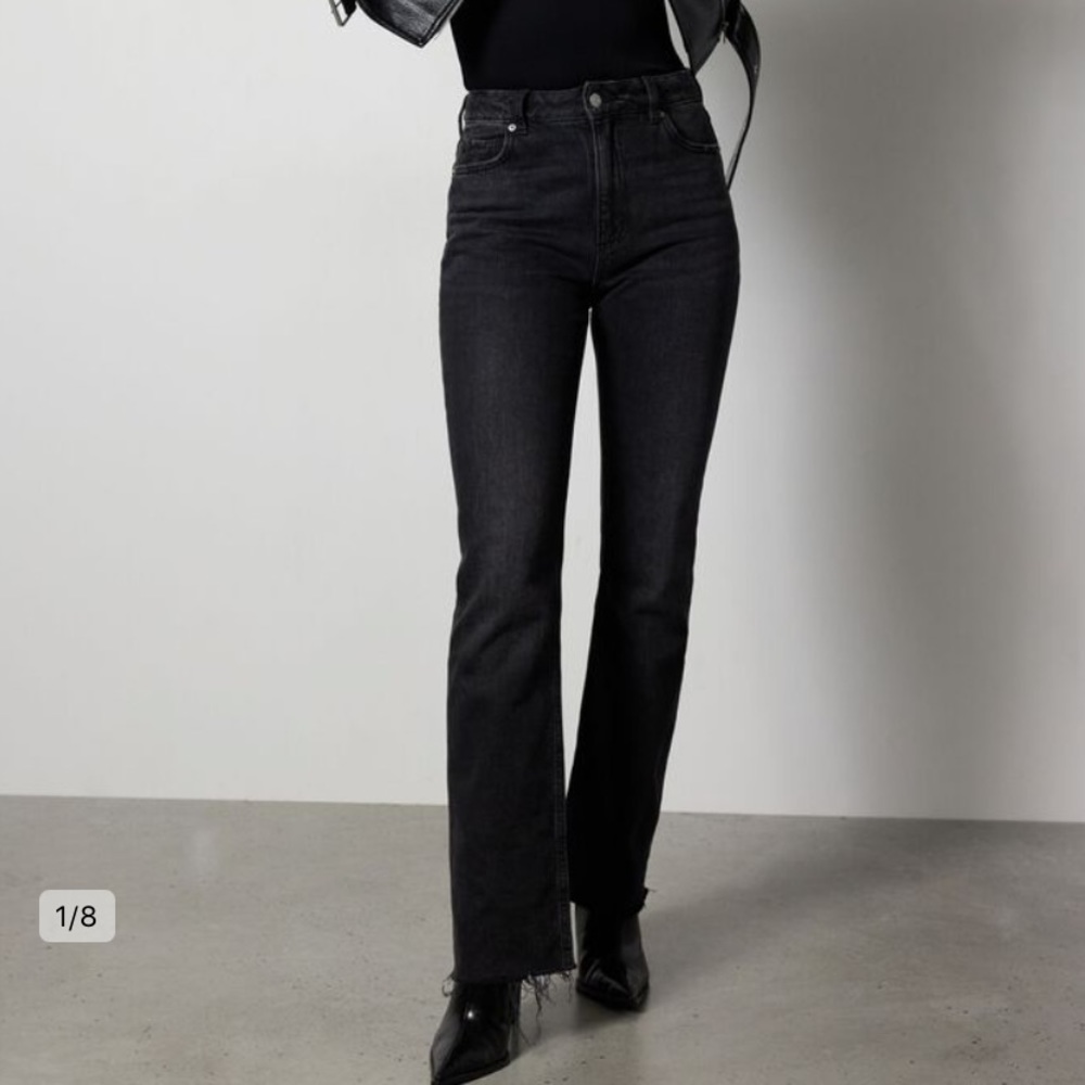 Dynamite | Candice Bootcut Jeans
